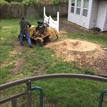 The Tree Men - You are 30hp away from removing your stumps - Tree Services Near Me - Milan, Michigan The Tree Men - You are 30hp away from removing your stumps - Tree Services Near Me - Milan, Michigan