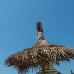 Fuori Rotta