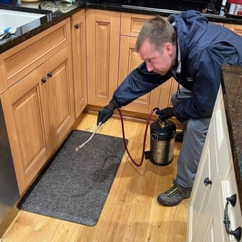 Canady & Son Exterminating - Pest Control Near Me - Wilmington, North Carolina Canady & Son Exterminating - Pest Control Near Me - Wilmington, North Carolina