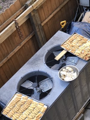 The Hairy Lemon by null