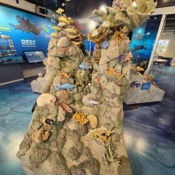 Reef Ocean Exploration Center - Visitor Centers Near Me - Key Largo, Florida Reef Ocean Exploration Center - Visitor Centers Near Me - Key Largo, Florida