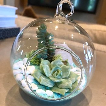 The Succulent Scene - Party & Event Planning Near Me