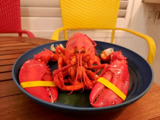 Markey's Lobster Pool by null
