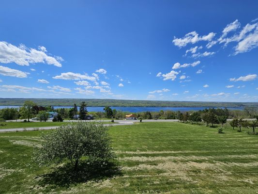 Damiani Wine Cellars by null