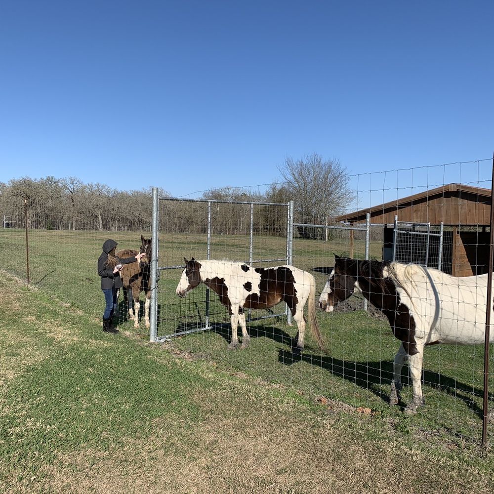 West Sandy Creek Winery - Horses on premise - Wineries Near Me - Richards, Texas West Sandy Creek Winery - Horses on premise - Wineries Near Me - Richards, Texas
