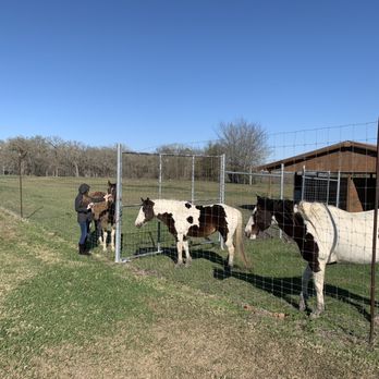 West Sandy Creek Winery - Horses on premise - Wineries Near Me - Richards, Texas West Sandy Creek Winery - Horses on premise - Wineries Near Me - Richards, Texas