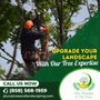 Photo of Lucas Landscaping & Tree Services