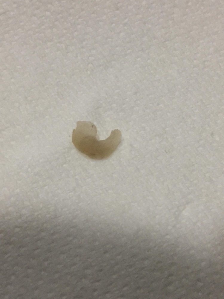 PLEASANT STREET DENTAL Updated June 2024 101 Pleasant St, Worcester