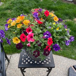 Secret Garden & Greenhouse - One of our latest pots