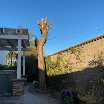 Ortega's Jr Tree Service - Tree Services Near Me - Riverside , California Ortega's Jr Tree Service - Tree Services Near Me - Riverside , California