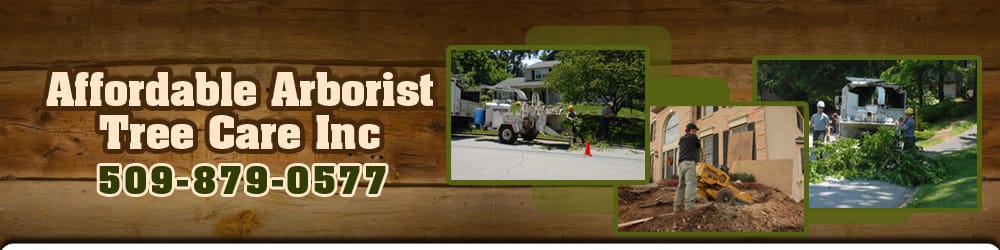 Affordable Arborist Tree Care - tree service in Newman Lake, WA