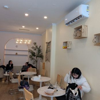 L'amour Cafe & Pastry - Inside cafe - Cafes Near Me - Toronto, Ontario