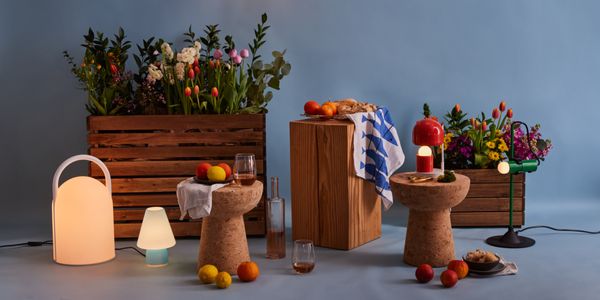 Two Enlighten by null