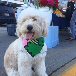 Broccoli bib for the farmers market :) Broccoli bib for the farmers market :)