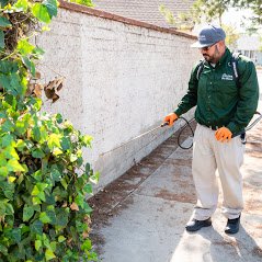 Mosquito Control Treatment - Are mosquitoes making it impossible to enjoy your yard? Do you worry about the possibility of someone getting sick from a mosquito-borne illness? Vision Termite & Pest Control provides effective mosquito control treatment in Pasadena. Our trained technicians provide a thorough inspection of your property to identify breeding sites and apply effective mosquito treatment that works fast and keeps working for weeks. Our services are always customized to your unique pest control needs.

Get started by calling (626) 689-7644 to schedule mosquito control service.
