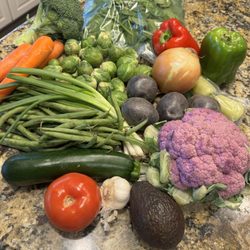 Farmers Market North Scottsdale