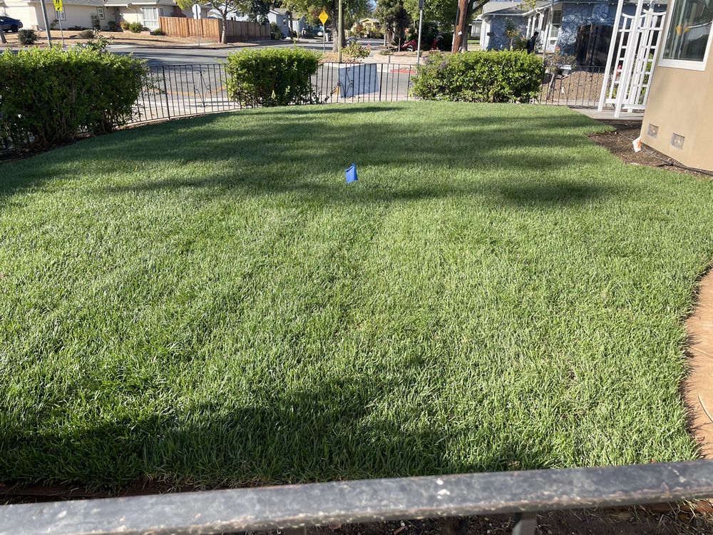 JESSE’S GENERAL LANDSCAPING Updated May 2024 Saratoga, California