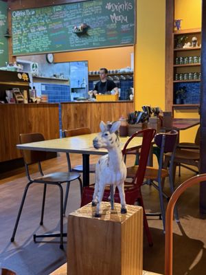 Fat Dog Cafe & Bar by null