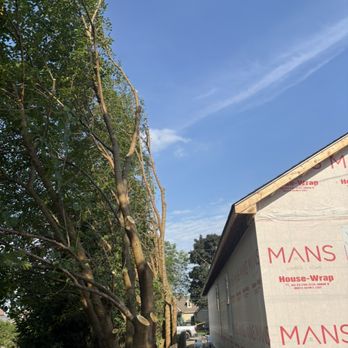 Cm Tree & Landscape Experts - Tree Services Near Me - Plymouth, Michigan Cm Tree & Landscape Experts - Tree Services Near Me - Plymouth, Michigan