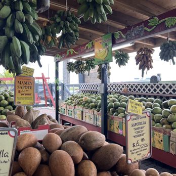 Robert Is Here - Fruits & Veggies Near Me - Homestead, Florida Robert Is Here - Fruits & Veggies Near Me - Homestead, Florida