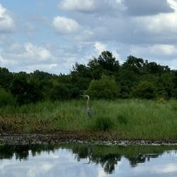 Capital City Kayak Adventures