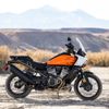 Freedom Valley Harley-Davidson gift card