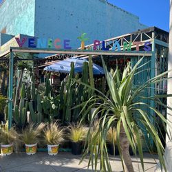 Venice Plants