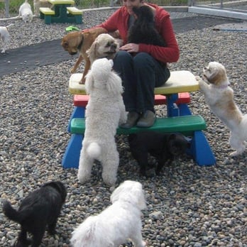 Camrose Kennels - Pet Sitting Near Me - Surrey, British Columbia