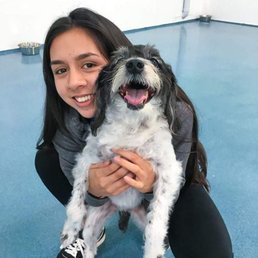 24 hour dog boarding