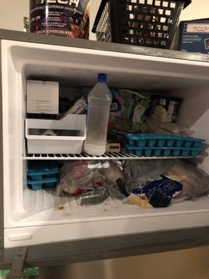 City House New Orleans by null