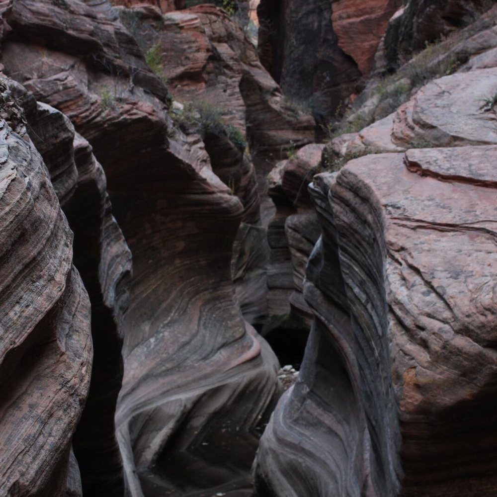 Observation Point - Hiking Near Me - Springdale, Utah Observation Point - Hiking Near Me - Springdale, Utah