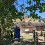 Photo of Brown Canyon Ranch