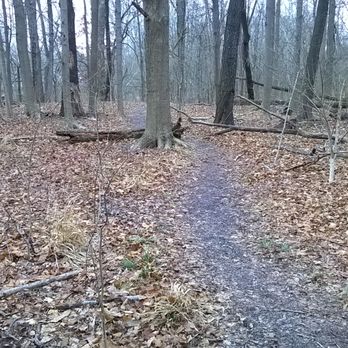 Marott Park - Footpaths on the trail can get a bit muddy.  Watch for roots and fallen timber. - Parks Near Me - Indianapolis, Indiana