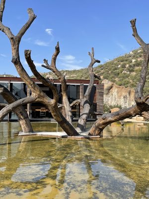 Bruma Valle de Guadalupe by null