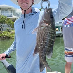 Sarasota Saltwater Adventures