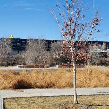TAXI - View from the South Platte - Commercial Real Estate Near Me - Denver, Colorado