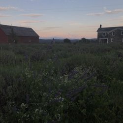 Lavenlair Farm