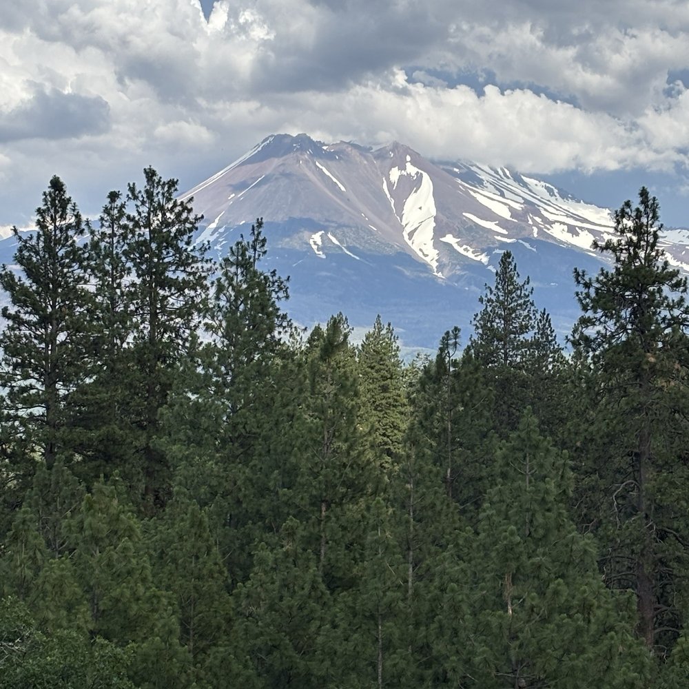 View of Mt. Shasta from the "glamp site" View of Mt. Shasta from the "glamp site"