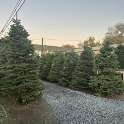 Foothill Feed & Gift