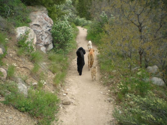 Hunter Creek Trail Head by null