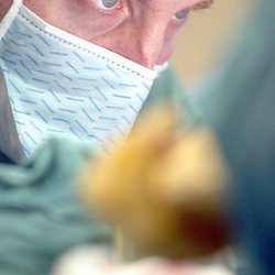 Justin Sherfey - Dr. Sherfey with a laser focus during surgery.