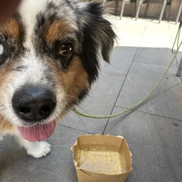 Maverick with his water. Maverick with his water.