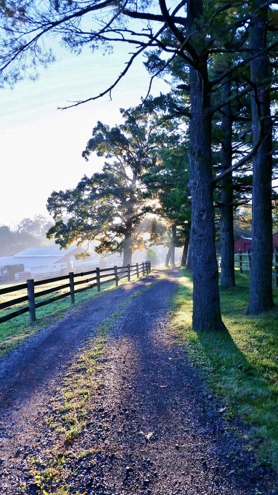 GILL QUARRIES Updated September 2024 3201 Rd, East Norriton