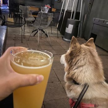 PBS Pub - Dog friendly patio and indoor area - Pubs Near Me - Long Beach, California