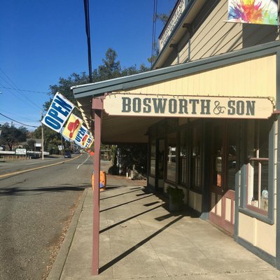 Bosworth and Son Store by null