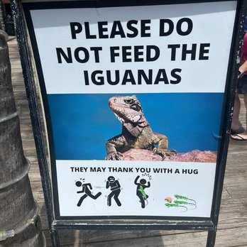 Coral World Ocean Park - This sign made my day, along with the family near us that was flipping the F out because there was an iguana in the area. - Aquariums Near Me - St Thomas, Virgin Islands