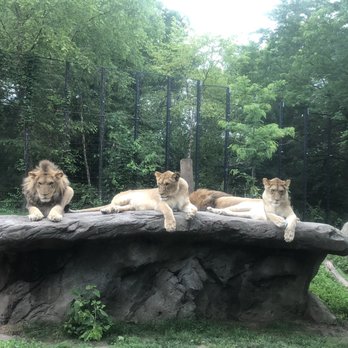 Blank Park Zoo - Zoos Near Me - Des Moines, Iowa Blank Park Zoo - Zoos Near Me - Des Moines, Iowa