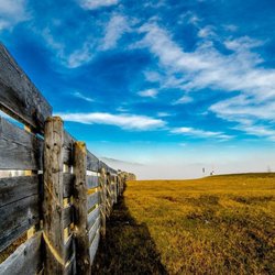 Town & Country Fence
