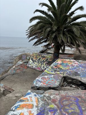 Point Fermin Park by null