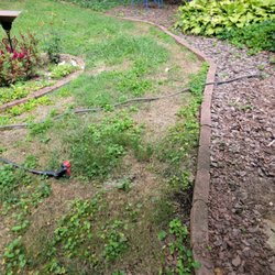 Lawn Masters